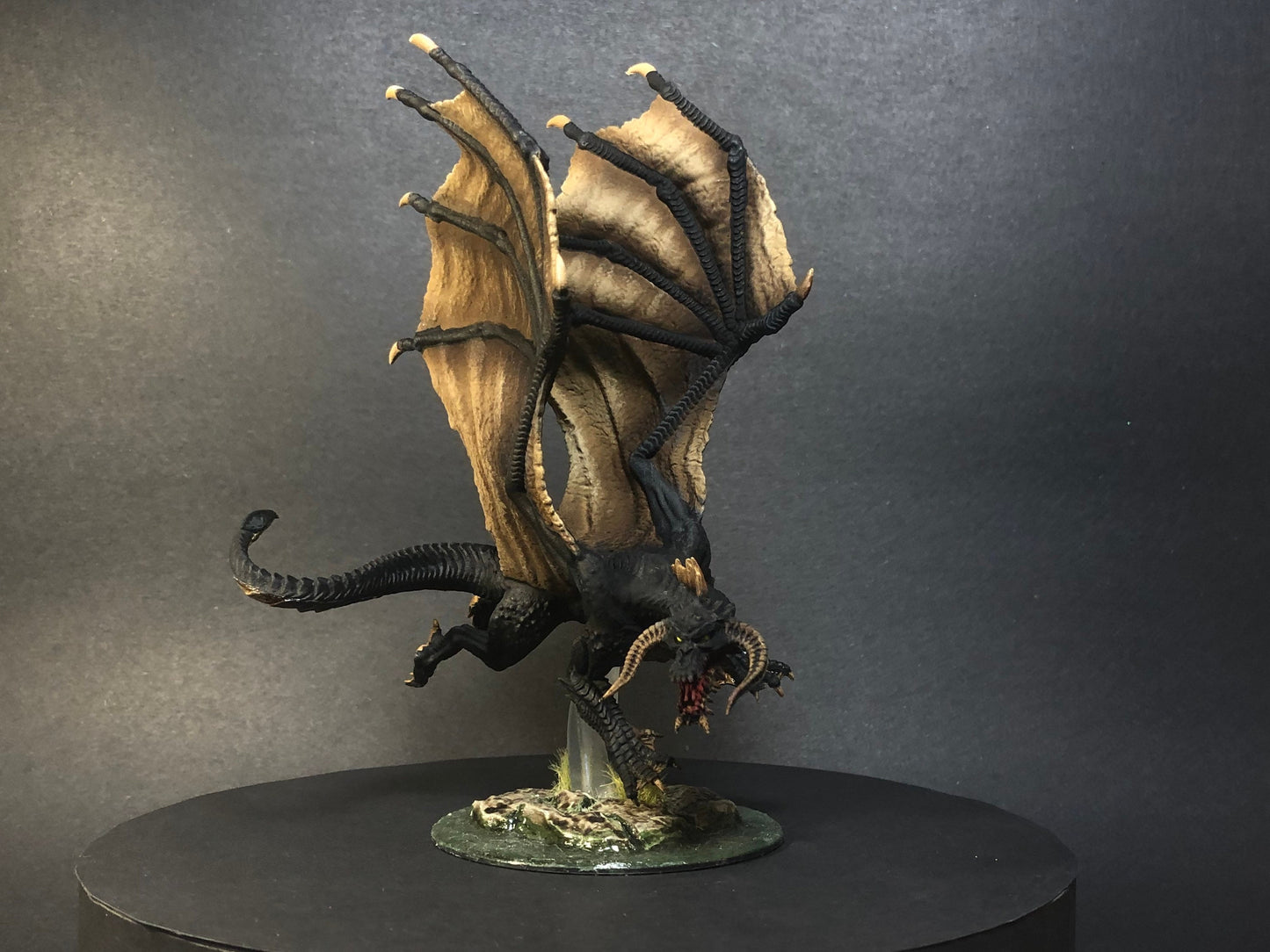 Young Black Dragon - Paint on Demand - Custom Painted D&D Mini